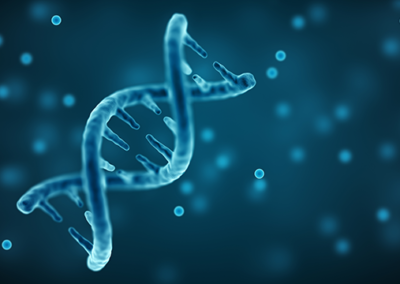 Smokescreen Translational (TL) Analysis Platform