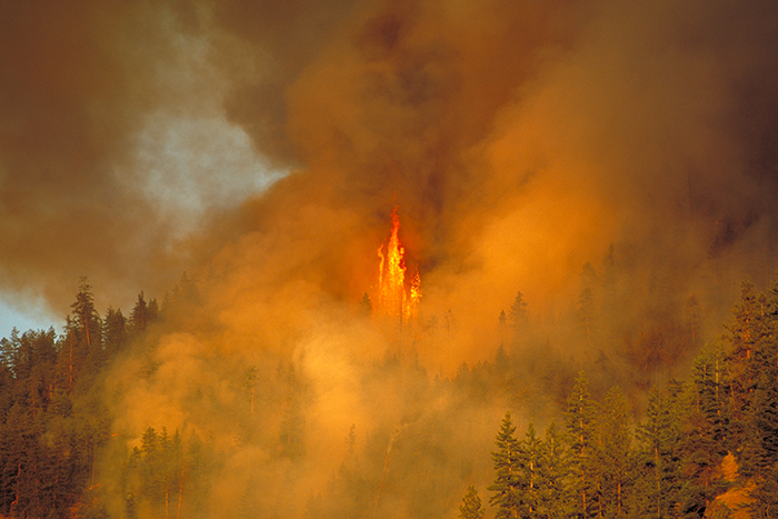 Wildfire in BC